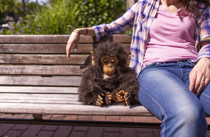 Stuffed Animal and Woman Free Stock Photo